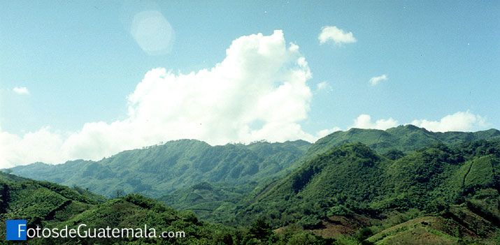 Adios al rollo fotográfico