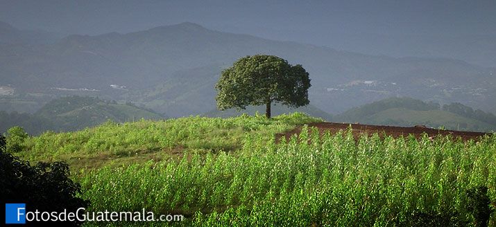 El dilema de vacaciones para fotógrafos paisajistas o de viaje
