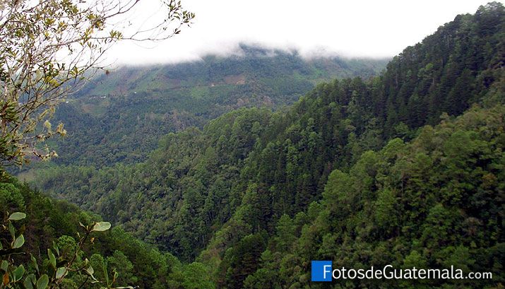 Alta Verapaz al norte de Guatemala