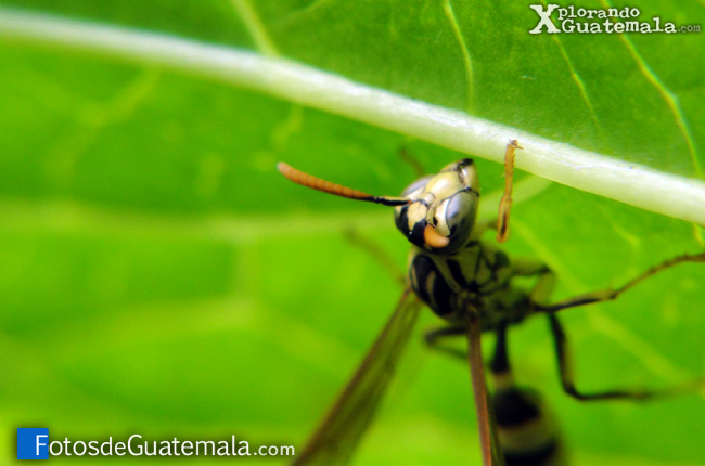 Fotografía: qué difícil es enseñar a observar